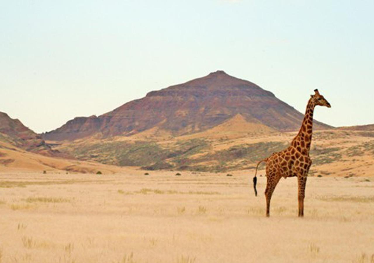 Khowarib Lodge Exterior photo